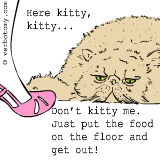 Don't kitty me. Just put the food on the floor and get out!