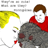 They're so cute! What kind of kittens are they? Porcupines.