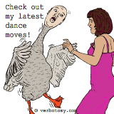 What do you think of my latest dance moves?