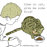 Come on cat, give me some food!