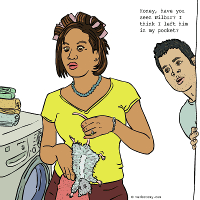 Honey, have you seen Wilbur?